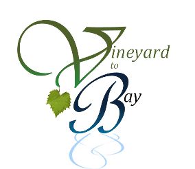 Vineyard to Bay 15K